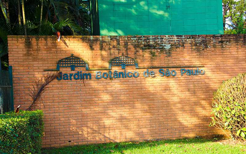Jardim-Botanico-de-São-Paulo