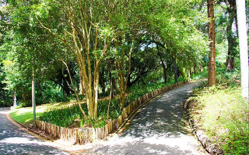 Area-verde-bairro-de-Higienopolis
