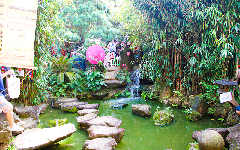 Bosque do bairro da liberdade