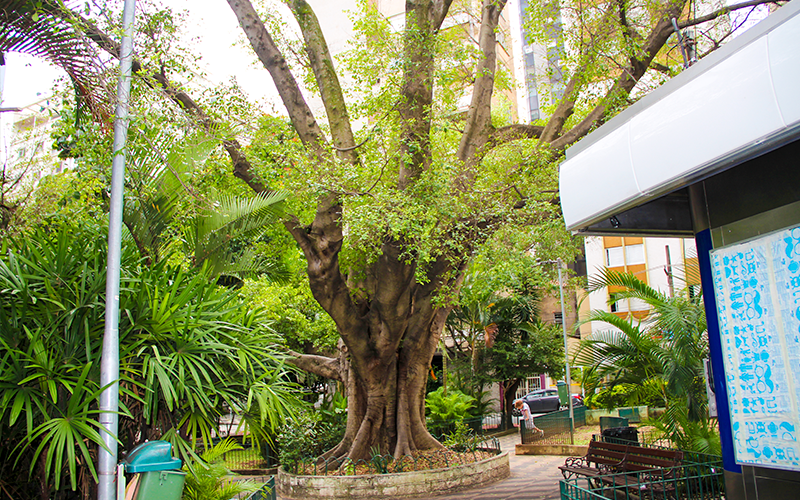 Higienopolis-bairro-residencial