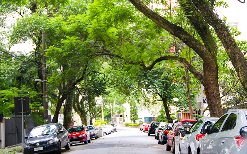 Ruas-residenciais-de-Higienópolis