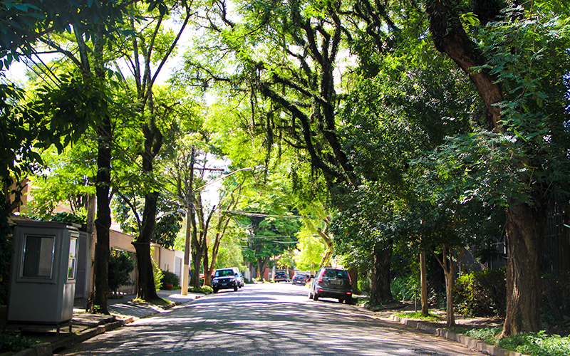Pinheiros