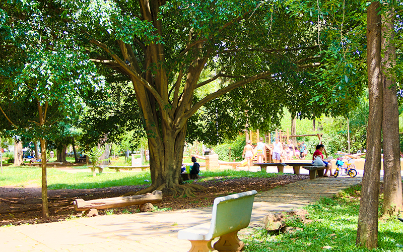 Santo-Amaro---Chacara-Santo-Antonio