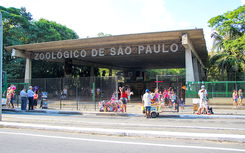 Zoo-de-SP