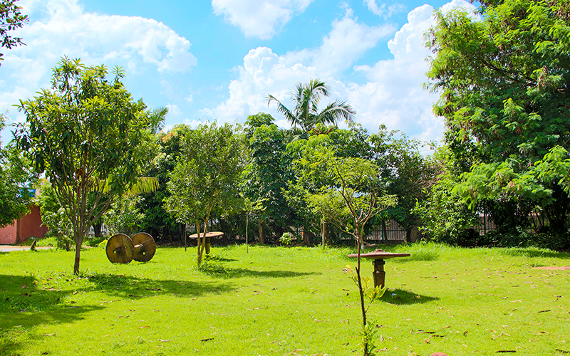 Área verde do Bairro Lapa