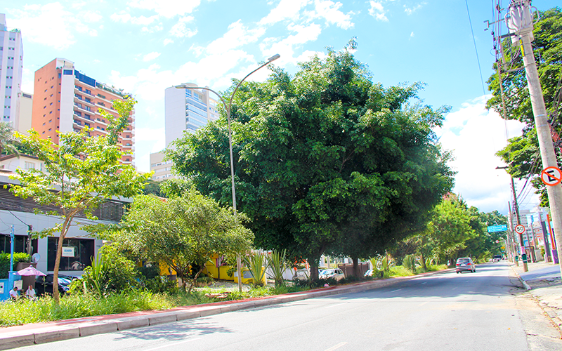 avenida-pacaembu---higienopolis