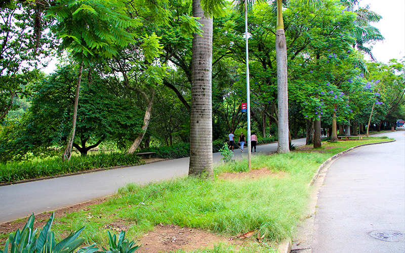 parque-da-aclimação.2png