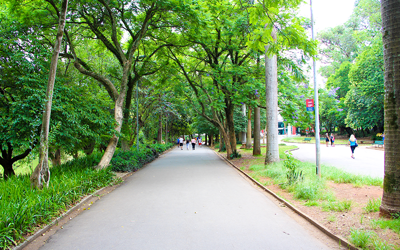 parque-da-aclimação.3